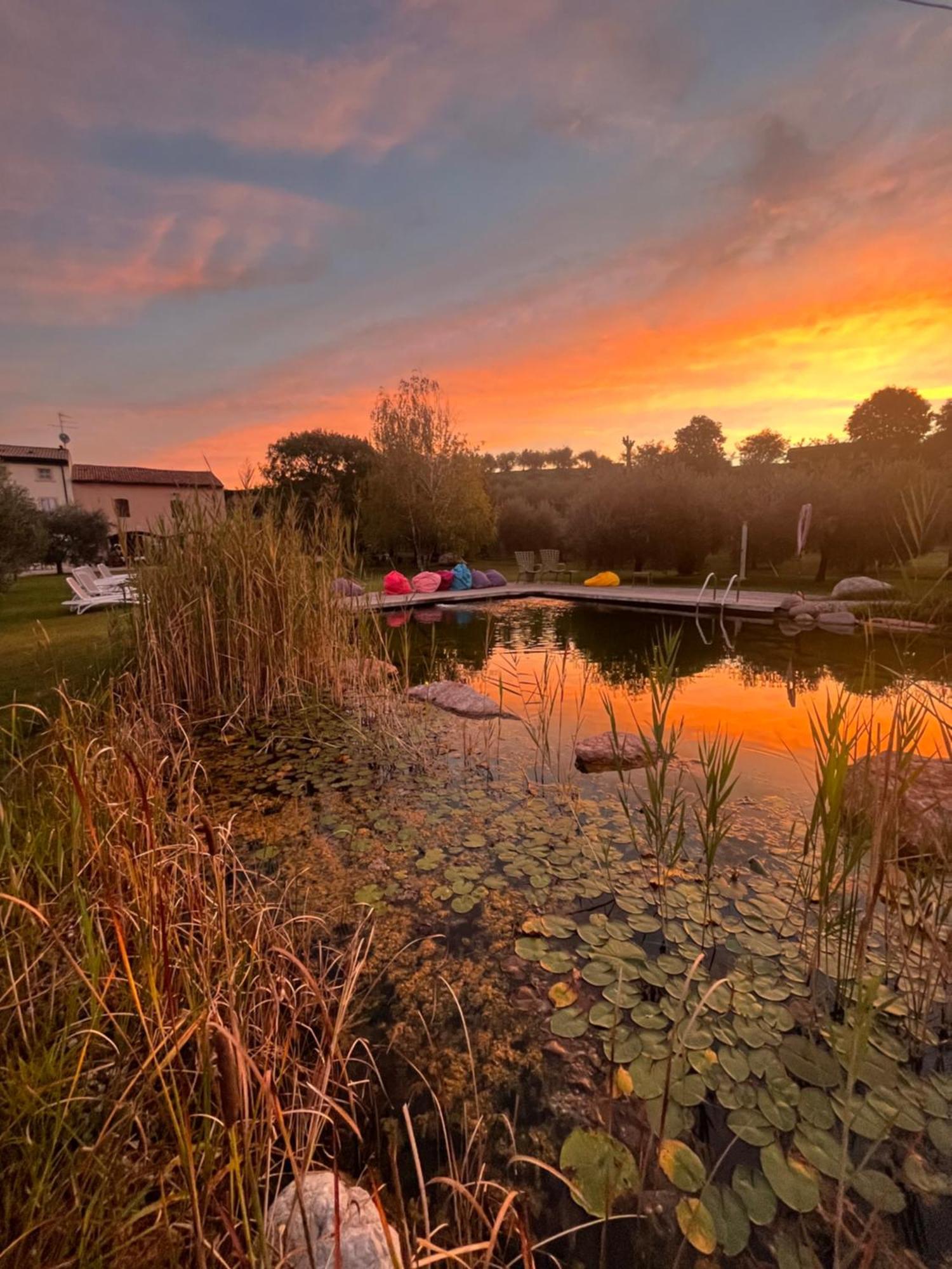 Agriturismo Casa Aurora บุสโซเลงโก ภายนอก รูปภาพ