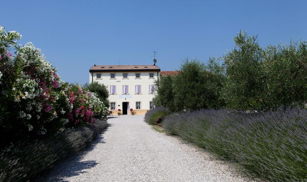 Agriturismo Casa Aurora บุสโซเลงโก ภายนอก รูปภาพ