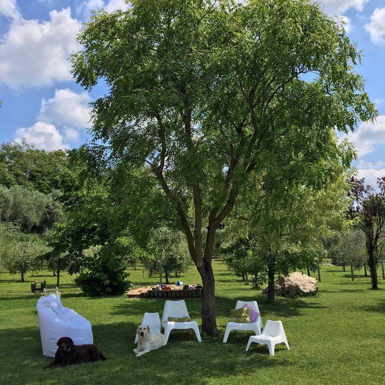 Agriturismo Casa Aurora บุสโซเลงโก ภายนอก รูปภาพ