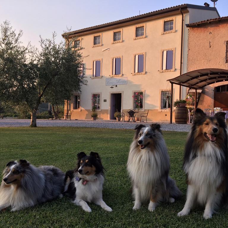 Agriturismo Casa Aurora บุสโซเลงโก ภายนอก รูปภาพ