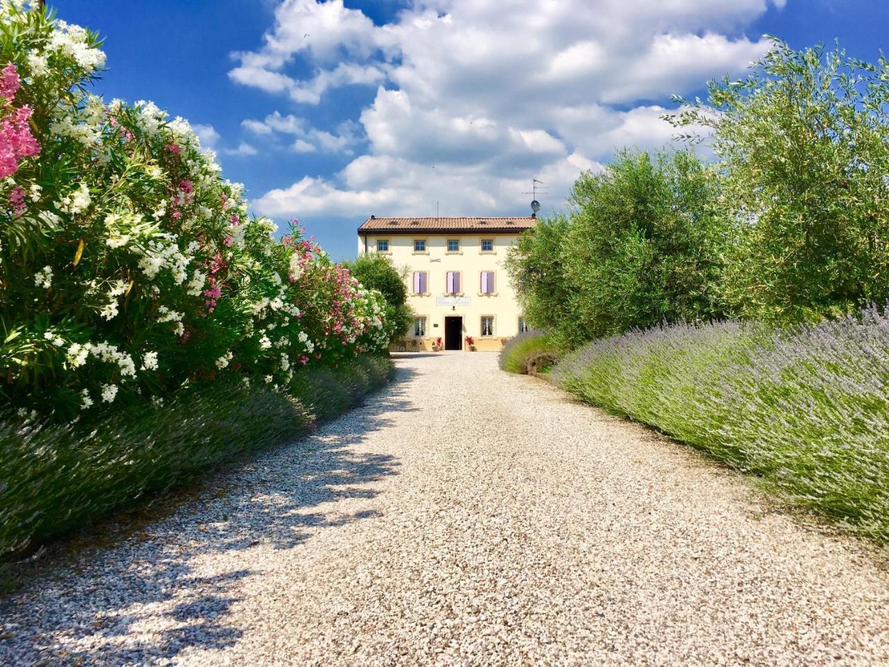 Agriturismo Casa Aurora บุสโซเลงโก ภายนอก รูปภาพ